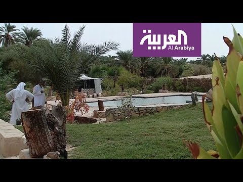 شاهد سيوة  وأهميتها السياحية في التاريخ