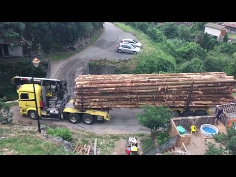 بالفيديو 2 مليون مشاهد لسائق عبقري يعبر بشاحنة ضخمة على جسر صغير