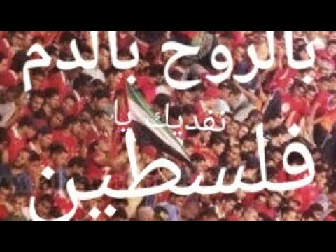 شاهد جماهير الأهلي تهز الملعب هتافًا لفلسطين