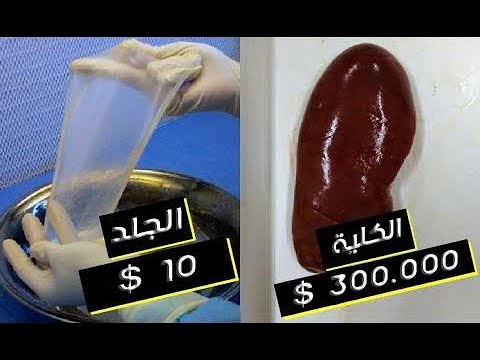 شاهد سعر الأعضاء البشرية في السوق السوداء