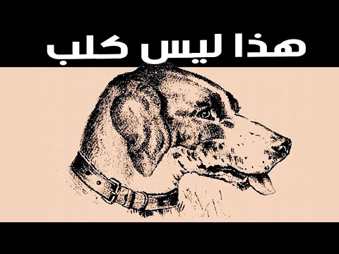 شاهد 6 خدع بصرية غامضة ستذهل منها