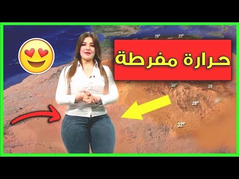 شاهد مذيعة ظنت أن الكاميرا توقفت عن التصوير