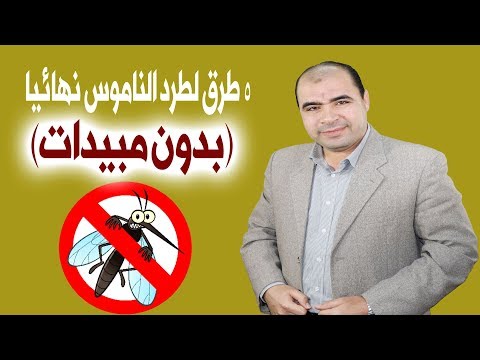 5 طرق فعّالة لطرد الناموس