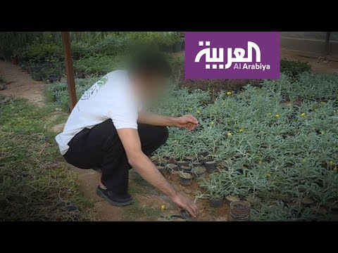 شاهد إدارة سجن الحاير تعمل على تأهيل الموقوفين وتهيأتهم نفسيًا