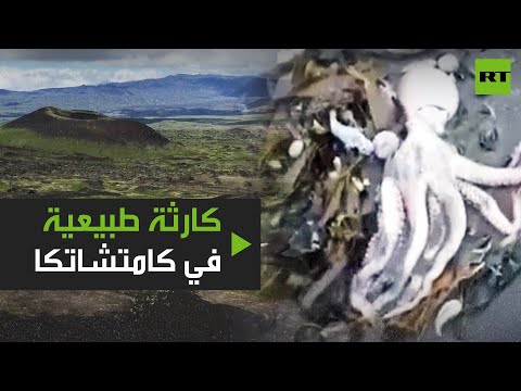 شاهد السلطات الروسية تُسابق الزمن لمواجهة كارثة طبيعية في كامتشاتكا