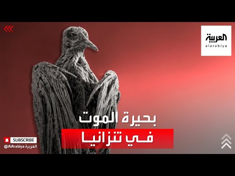 شاهد بحيرة في تنزانيا تقتل من يشرب منها