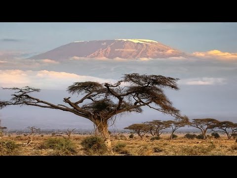 3 رجال يتحدون القمة الجبلية الأعلى في إفريقيا