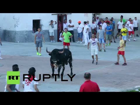 فيديو مهرجان الثيران المثير للجدل يُعقد مجددًا في إسبانيا