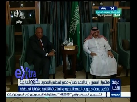 شاهد وزير الخارجية المصري يلتقي ولي العهد السعودي