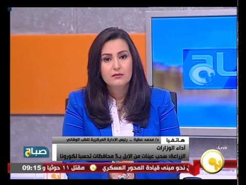 شاهد سحب عينات من الإبل تحسبًا لكورونا