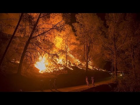 اعلان حالة الطوارئ في كاليفورنيا