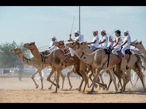 بالفيديو مركز حمدان لإحياء التراث يطلق رحلة الهجن الاستكشافية