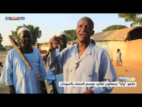 بالفيديو أبواق وازا الذاكرة المسموعة للحصاد في السودان