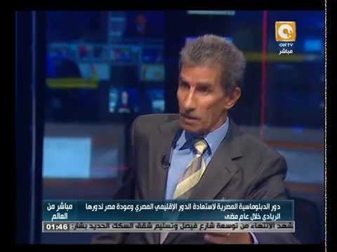 تقييم أداء السياسة الخارجية المصرية عام 2014