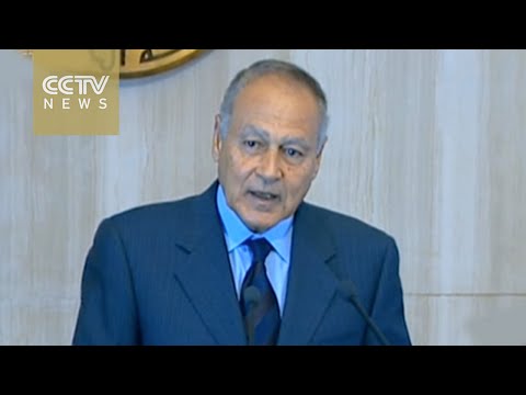 egyptian diplomat takes office as arab league chief