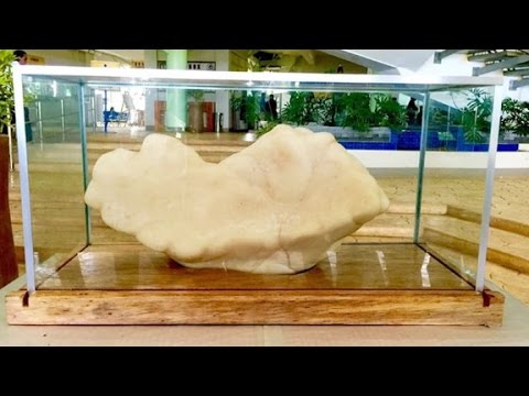 largest pearl ever alledgedly discovered