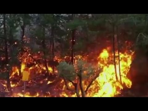 tens of thousands flee wildfires