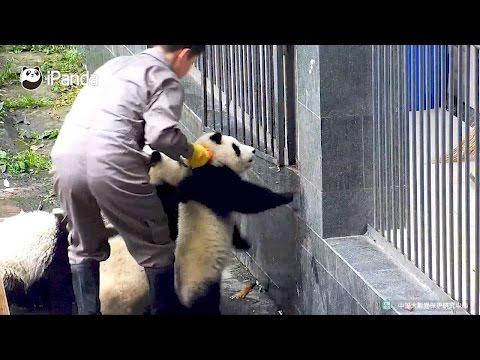 breaking rainstorm hits south china