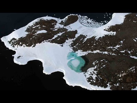 climate change turning antarctica green