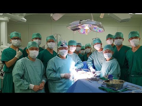 chinese scientist develops radical transplantation technique