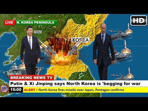 putinxi jinping says north korea is begging