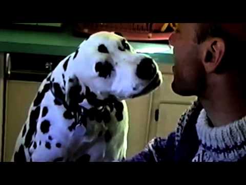 dalmatian kisses for pancakes