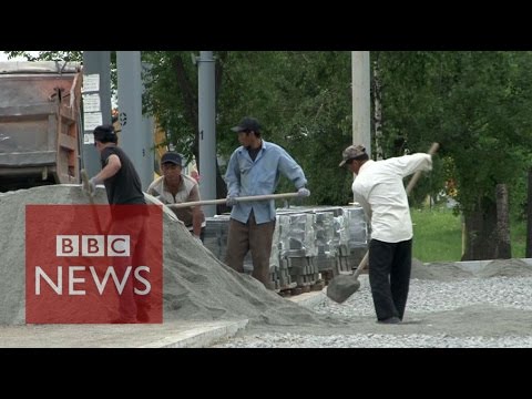 north korean worker brigades in russia