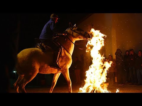 horses gallop through bonfires at spanish festival