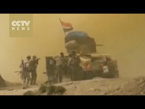 iraqi forces attempt to retake fallujah