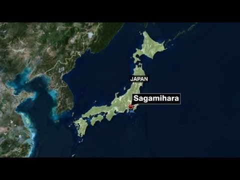 multiple deaths in japan knife attack