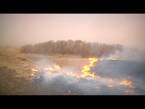 at least 23 dead in russia wildfires