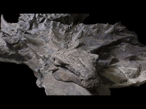 lifelike dinosaur fossil