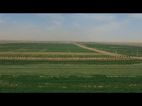 new technology in china turns desert into land rich