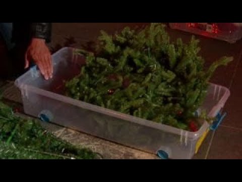 how to properly dispose a christmas tree after the holidays