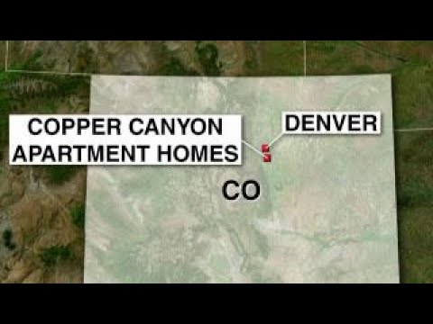 colorado deputy killed responding to domestic disturbance