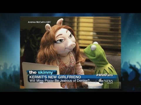 kermit the frog is reportedly dating again