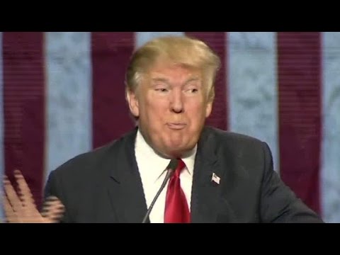 trump mocks reporter