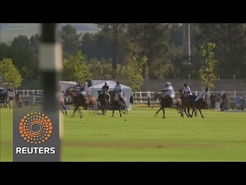 britains prince harry takes a tumble from his polo pony